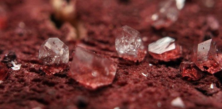 What are these Crystals in my wine? Tartrates explained