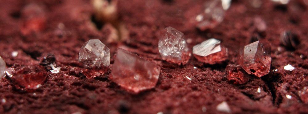 What are these Crystals in my wine? Tartrates explained Wines